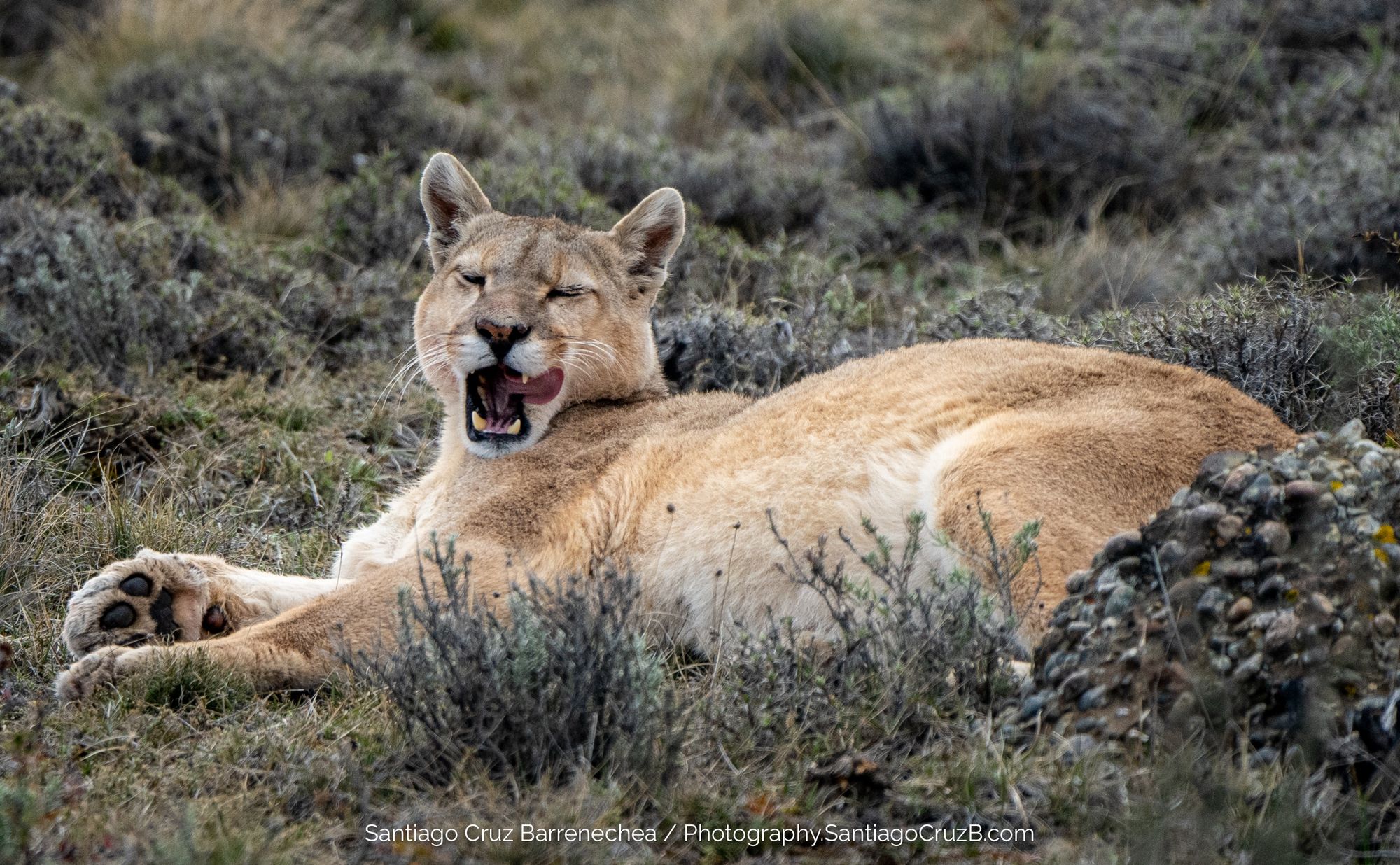 Parque Nacional Torres del Paine